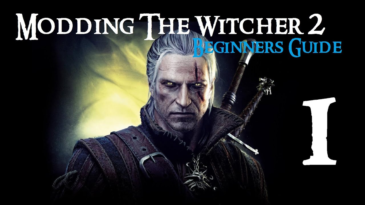 witcher 1 guide